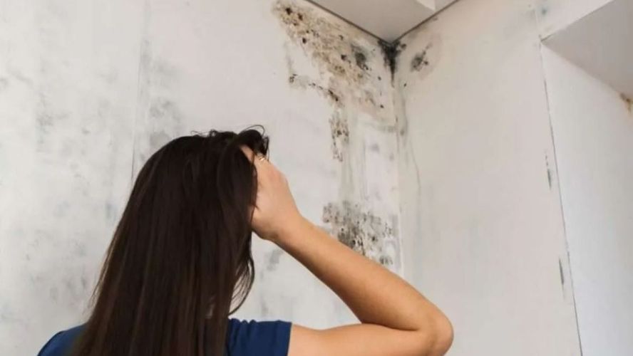 Infiltrazioni d’acqua in ambito condominiale: responsabilità, obblighi e tutela legale